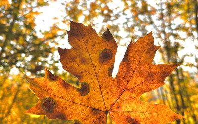 September News 2024