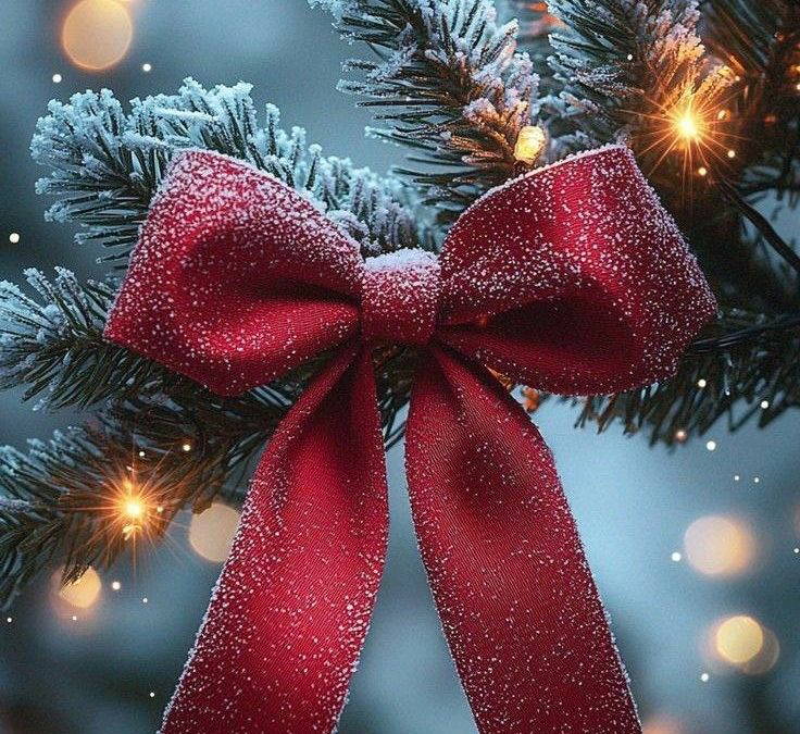 December and January News 2024/2025